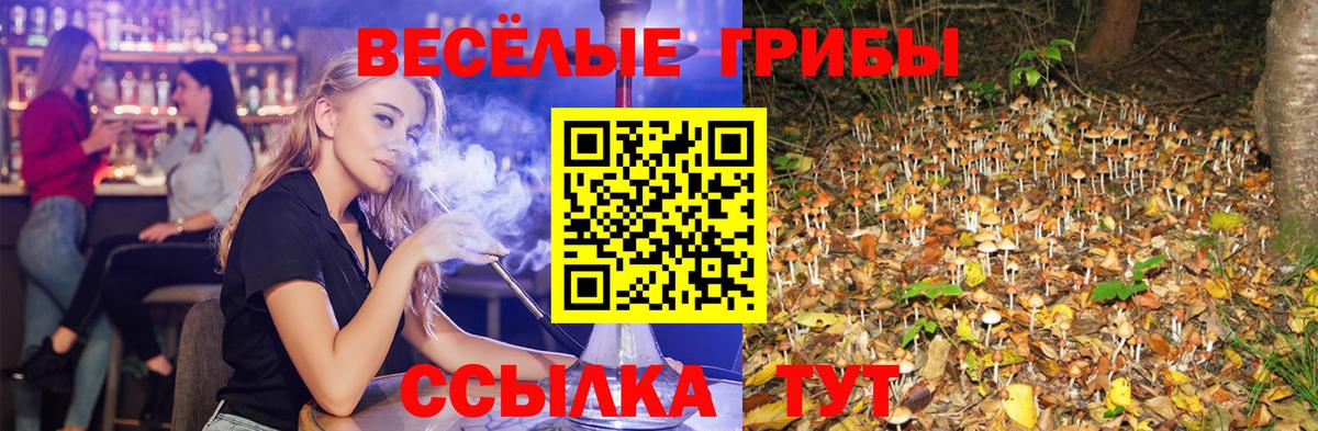 Галлюциногенные грибы Magic Shrooms Ачхой-Мартан