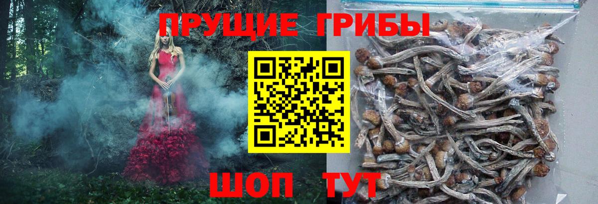 Лсд 25  Кокаин  МЕТАМФЕТАМИН  ГАШИШ  Вход с VPN  Ачхой-Мартан  Каннабис  ТГК  Мефедрон  