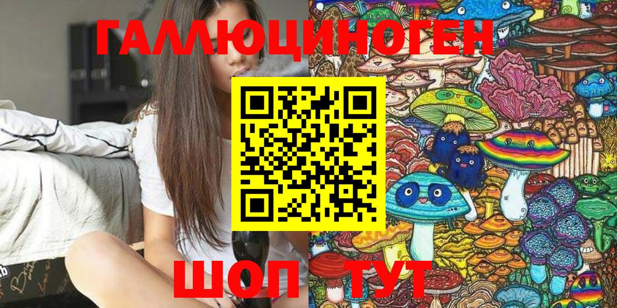 Ачхой-Мартан  Галлюциногенные грибы MAGIC MUSHROOMS  Вход с VPN 